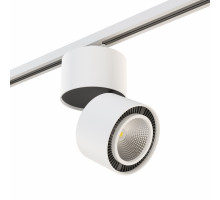 Комплект со светильником Forte Forte Muro Lightstar A1T213816
